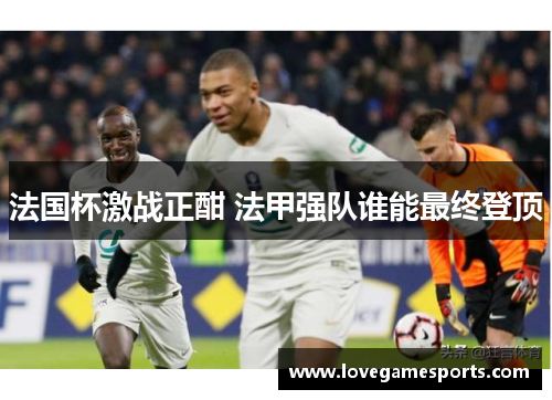 法国杯激战正酣 法甲强队谁能最终登顶
