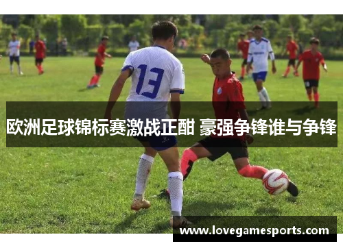 欧洲足球锦标赛激战正酣 豪强争锋谁与争锋